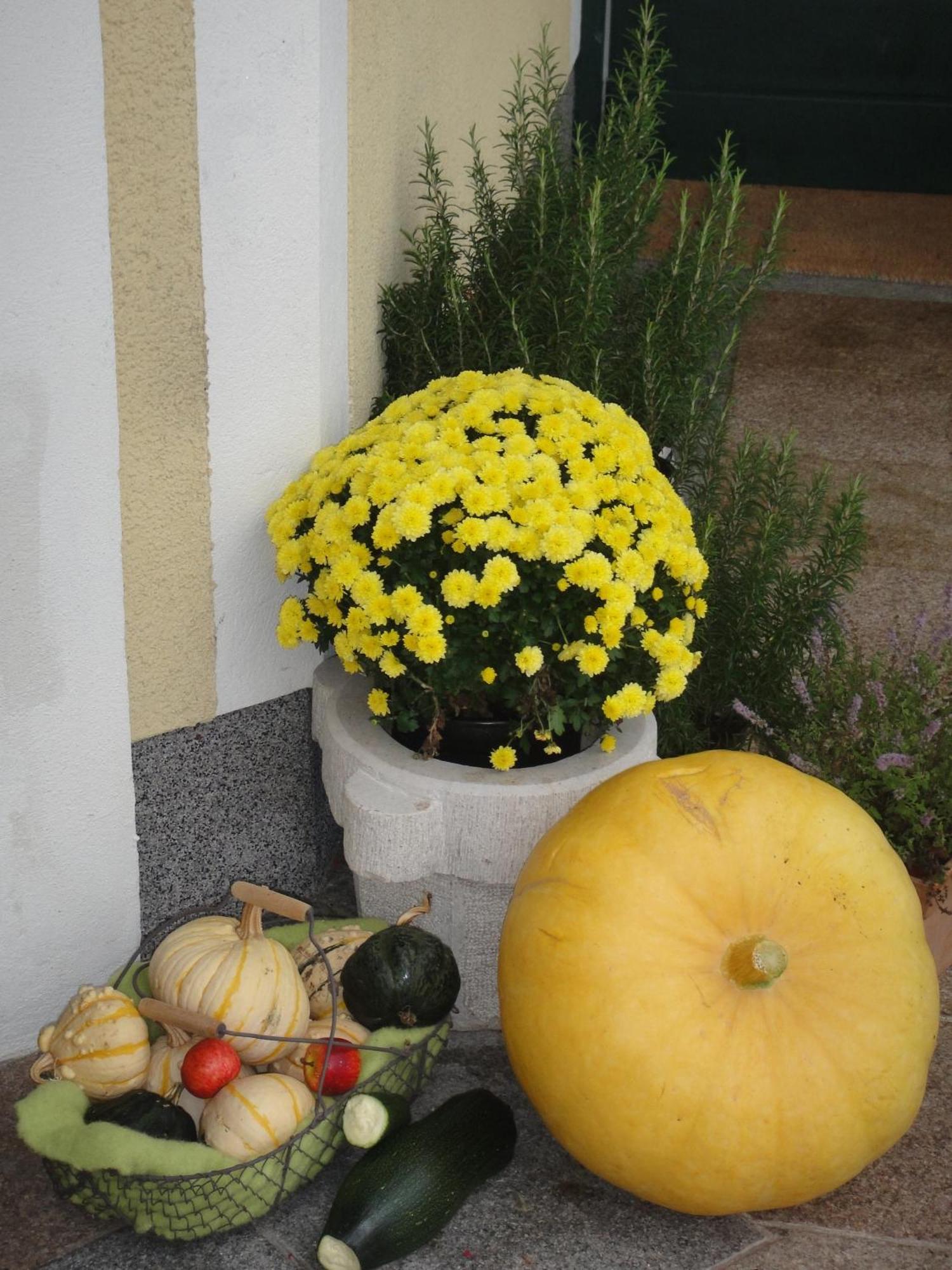 סנט קולומן Ferienwohnung Haus Lehen מראה חיצוני תמונה